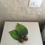Small House Of The Sea 公寓 马斯帕洛马斯